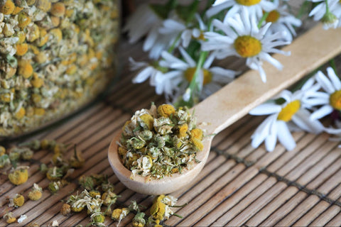 Chamomile Lotion for Shingles: Does It Work?