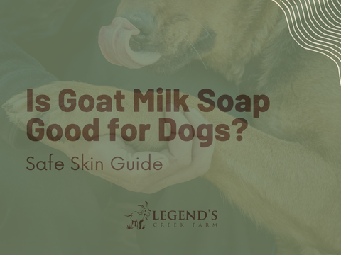 Is Goat Milk Soap Good for Dogs? Safe Skin Guide