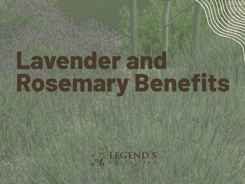 Lavender and Rosemary Benefits for Sensitive Skin