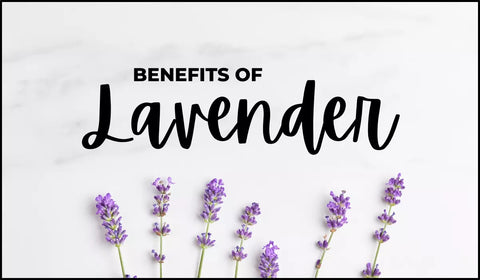 Benefits of Lavender