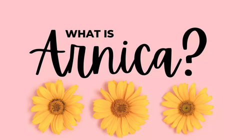 What Is Arnica?
