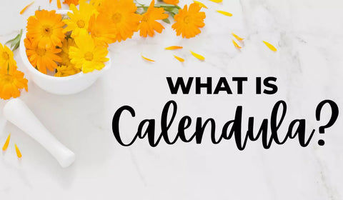 What Is Calendula?
