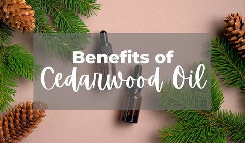 Benefits of Cedarwood Oil