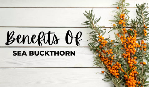 Benefits of Sea Buckthorn