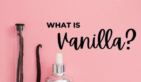 What Is Vanilla?