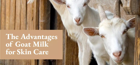 The Advantages of Goat Milk for Skin Care