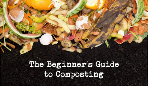 The Beginners Guide To Composting