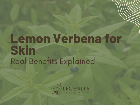 Lemon Verbena for Skin: Benefits Explained