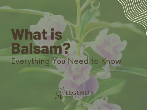 What Is Balsam? Everything You Need to Know