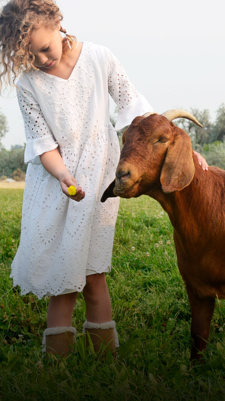 Legend's Creek Farm: Goat Milk Soaps, Haircare, Lotions, Salves,& More