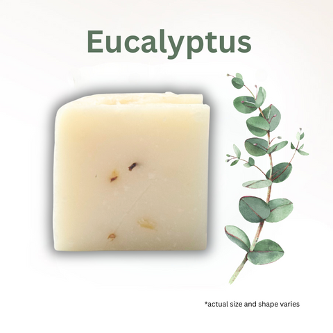 Eucalyptus Goat Milk Soap (1oz)